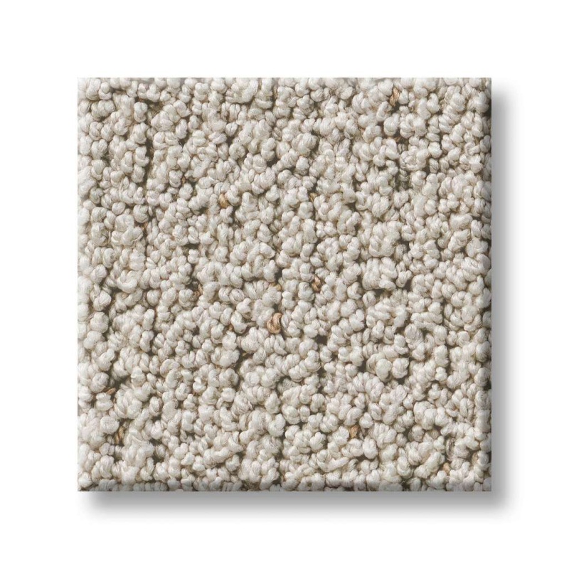 Pet Perfect Intricate Trace Natural Polyester Carpet