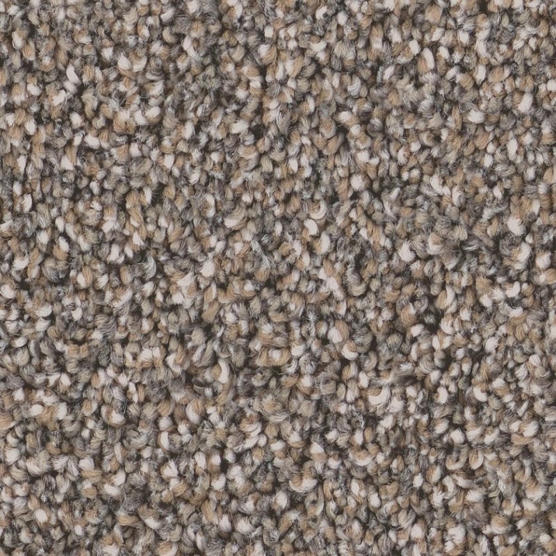 Castle Rock Polyester Textured Carpet