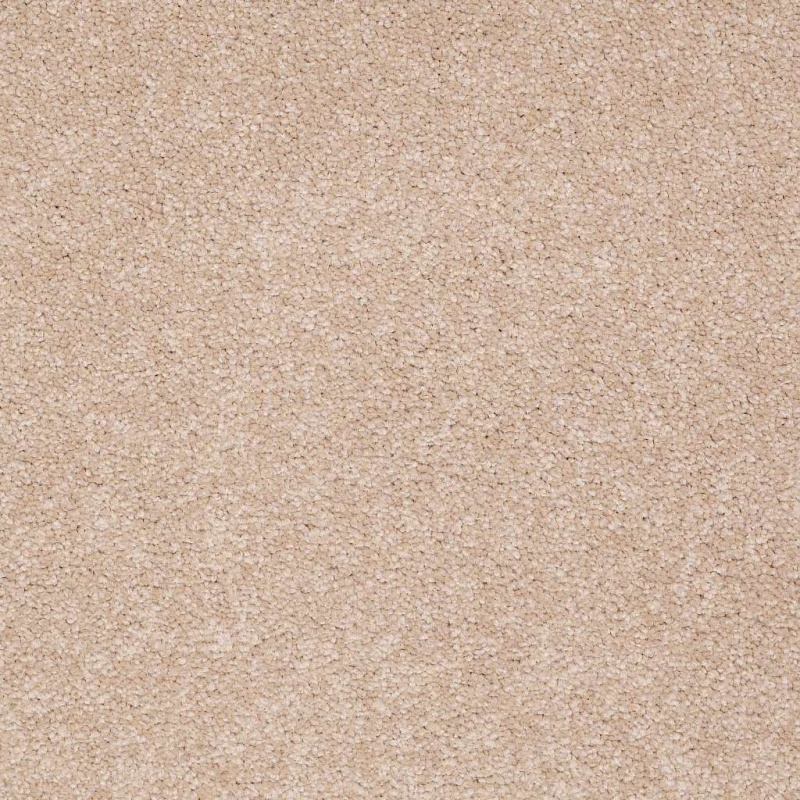 Magic At Last Iv 15' Antique White Nylon Carpet - Textured