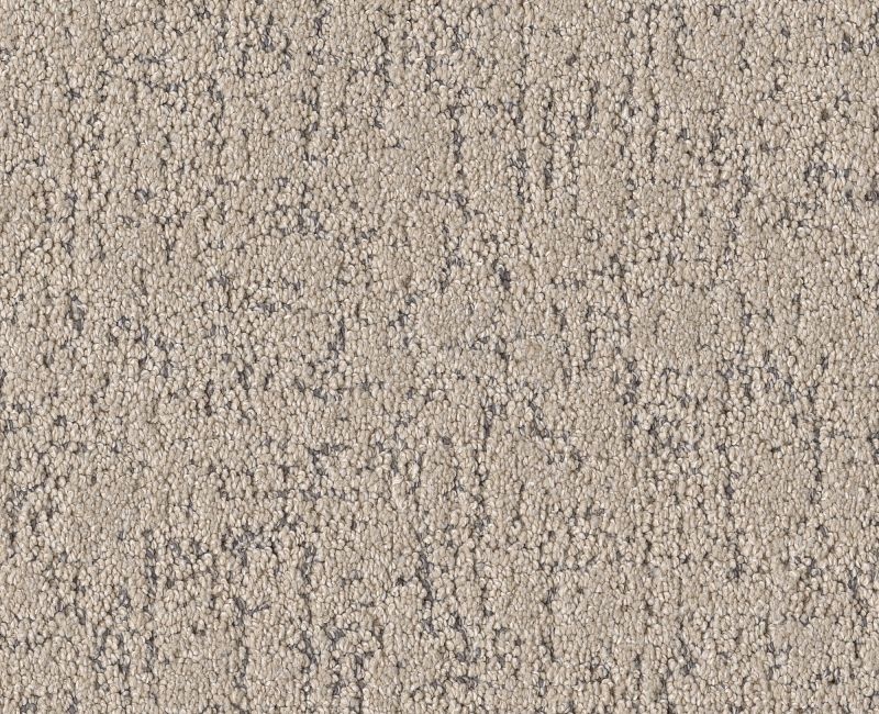 Running Wild Warm Light Polyester Carpet - Textured