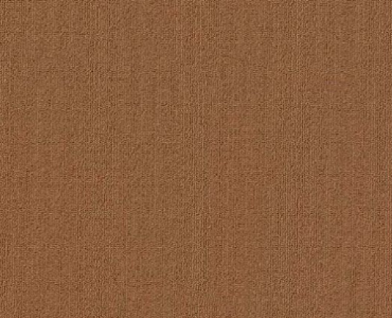 Color Accents Bl Tobacco Nylon Carpet - Loop