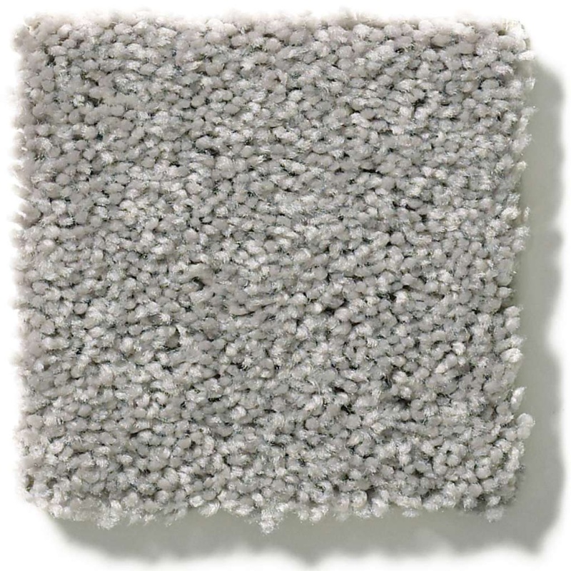 Simply The Best Cabana Life Solid Dolphin Polyester Carpet