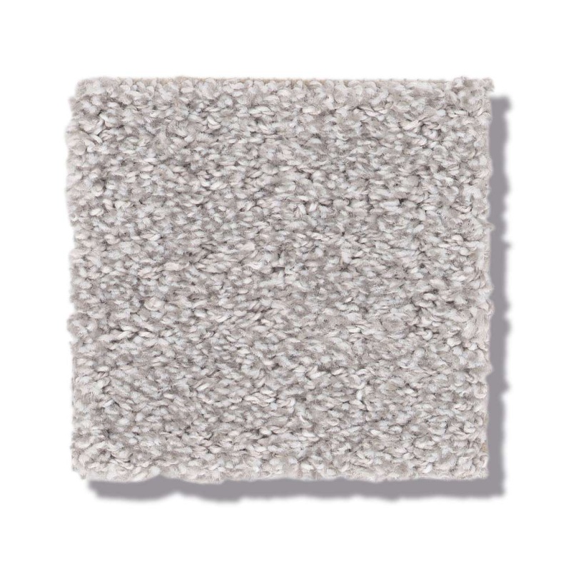 Pet Perfect Plus Secret Passage Reflection Polyester Carpet - Textured