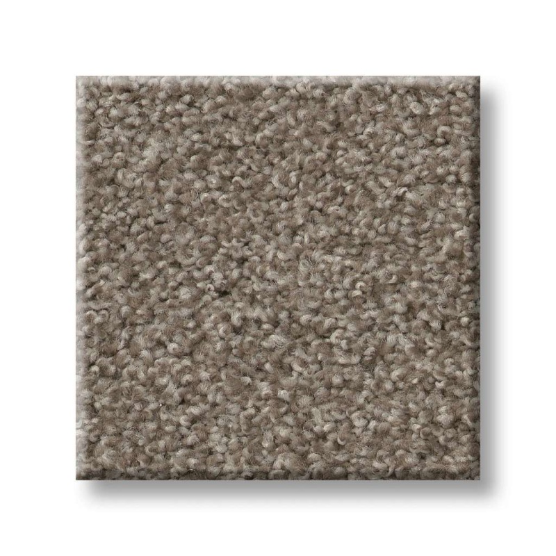 That's Right Moccasin Nylon Carpet - Textured