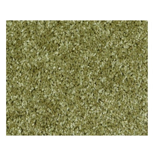 Vermont (S)12' Spring Valley Nylon Carpet - Textured