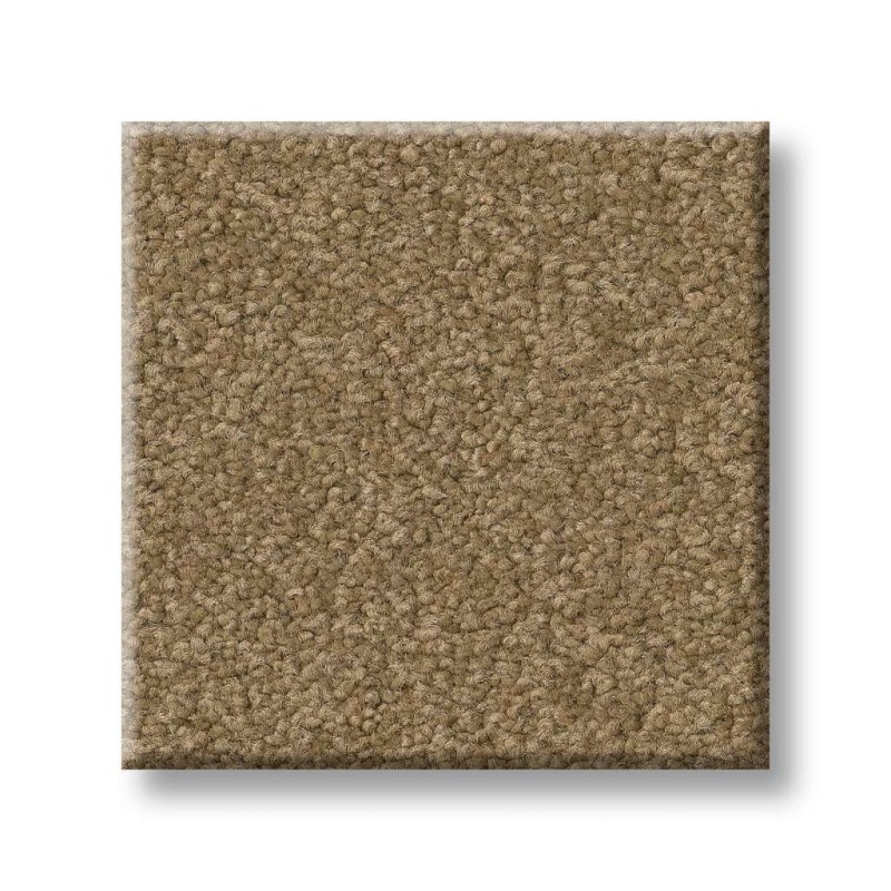 Couture' Collection Ultimate Expression 12' Muffin Nylon Carpet - Textured