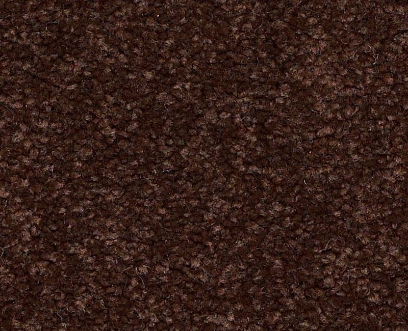 Endura Iii 12' Coffee Bean Nylon Carpet - Pattern
