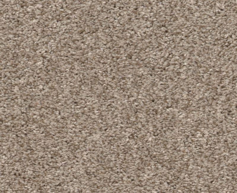 Calm Embrace I Beige Bisque Polyester Carpet - Loop