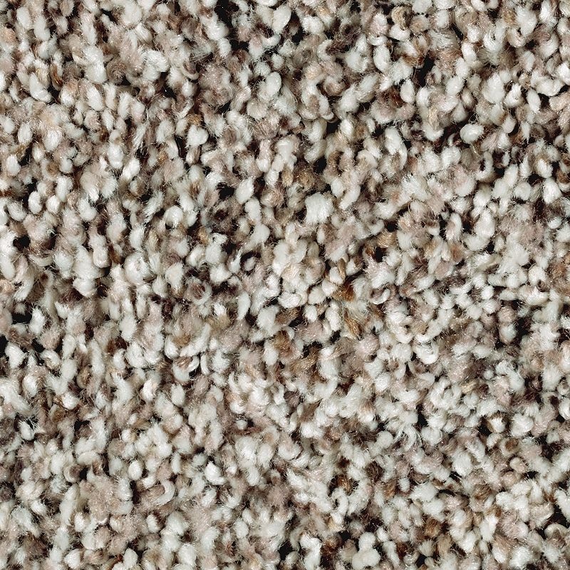 Softly Elegant II Dark Platinum Polyester Carpet
