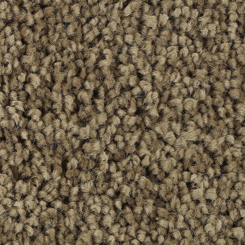Soft Outlook November Foliage Polyester Carpet - Textured