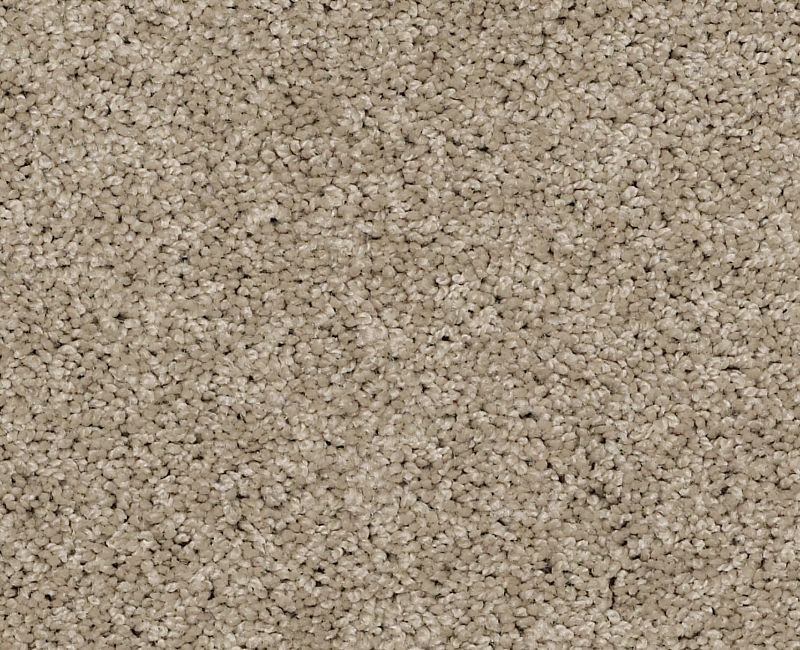 Marlow Ii Espresso Nylon Carpet - Pattern