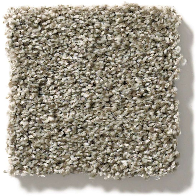 Simply The Best All Over It Ii Clay Polyester Carpet - Textured