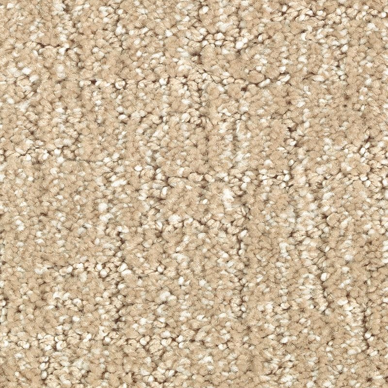 Natural Artistry Toasted Bagel Triexta Carpet - Pattern