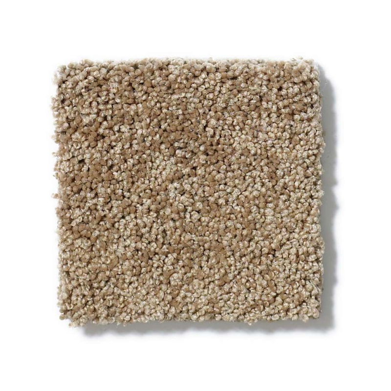 Enduring Comfort Ii Twig Nylon Carpet - Textured
