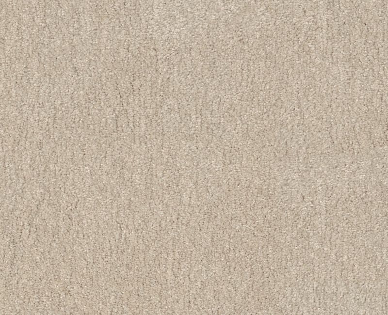 Relentless I 12 Bleached Polyester Carpet - Loop