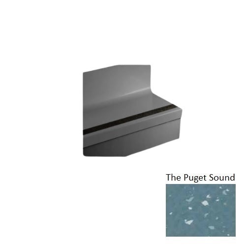 Johnsonite Speckled Stair Tread with Riser
