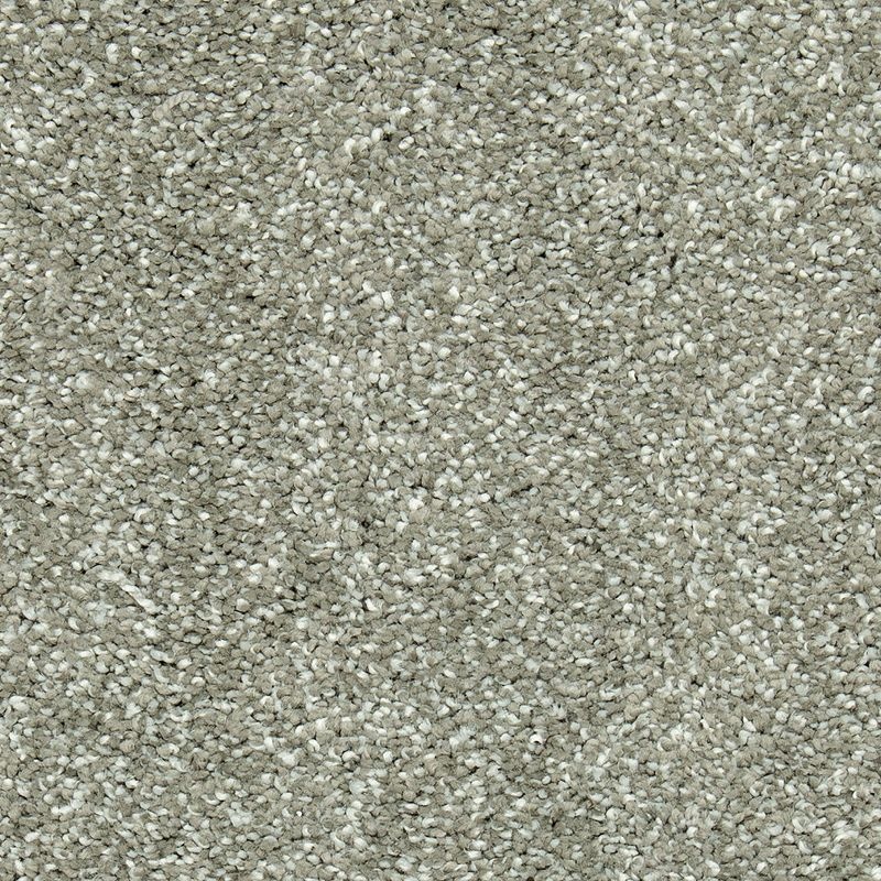 Stonington Manor Ii Stormwatch Triexta Carpet - Textured