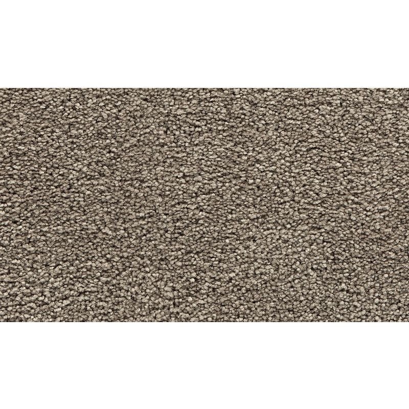 Bold Choice Abardeen Polyester Carpet - Textured