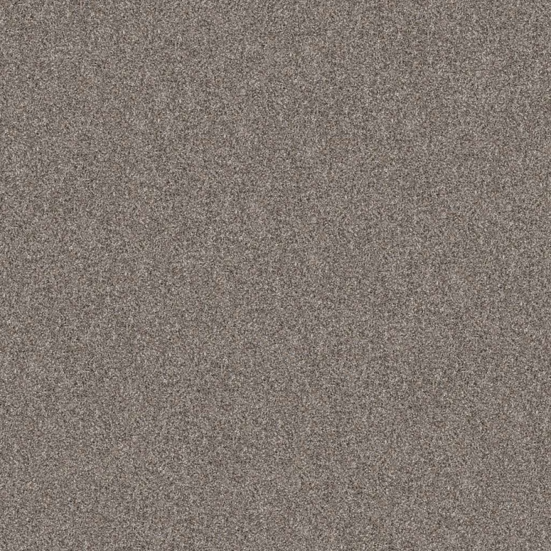 Pet Perfect Yes You Can I 15' Chic Greige Polyester Carpet - Textured