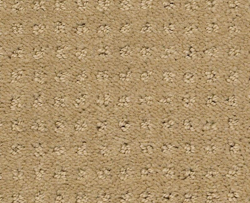 Detailed Elegance Pattern Honey Pot Nylon Carpet