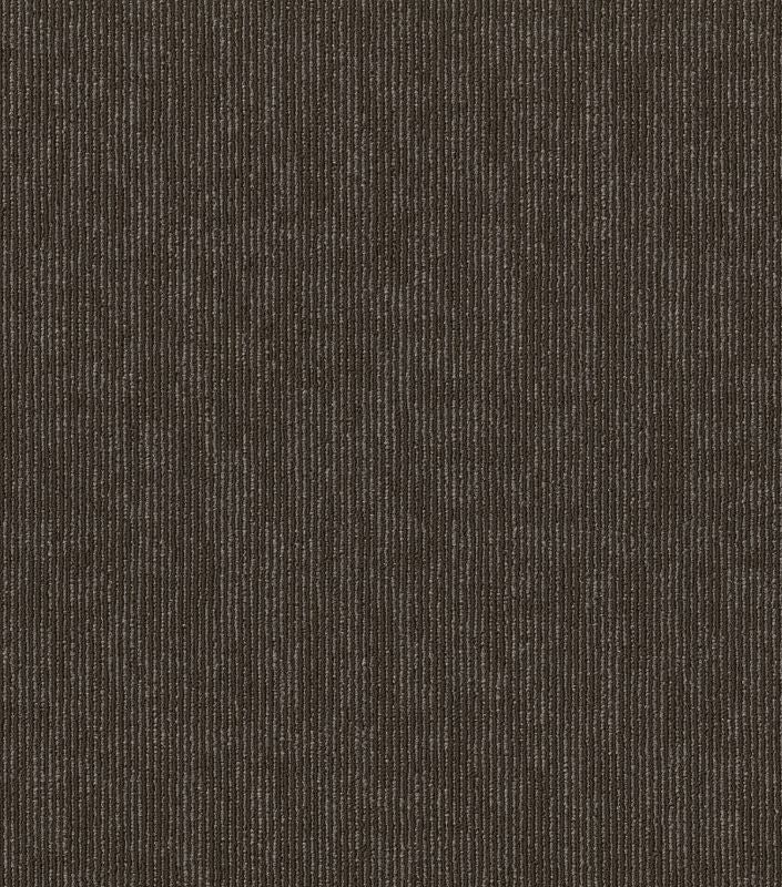 Affinity Semblance Comparison Nylon Carpet Tile - Loop - 24" X 24"