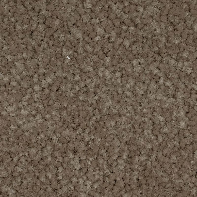 Blended Moments Oyster Bar Nylon Carpet - Textured