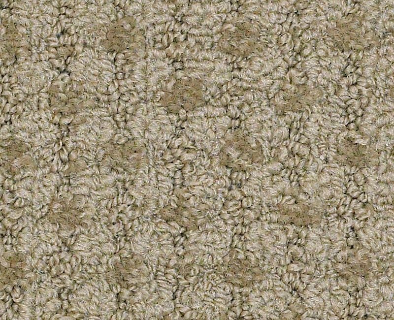 Hettinger Colonial District Nylon Carpet - Pattern