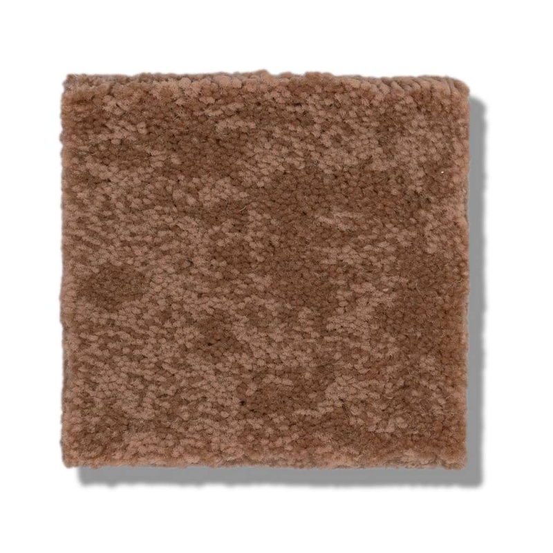 Caress By Shaw Free Spirit Sunbaked Nylon Carpet