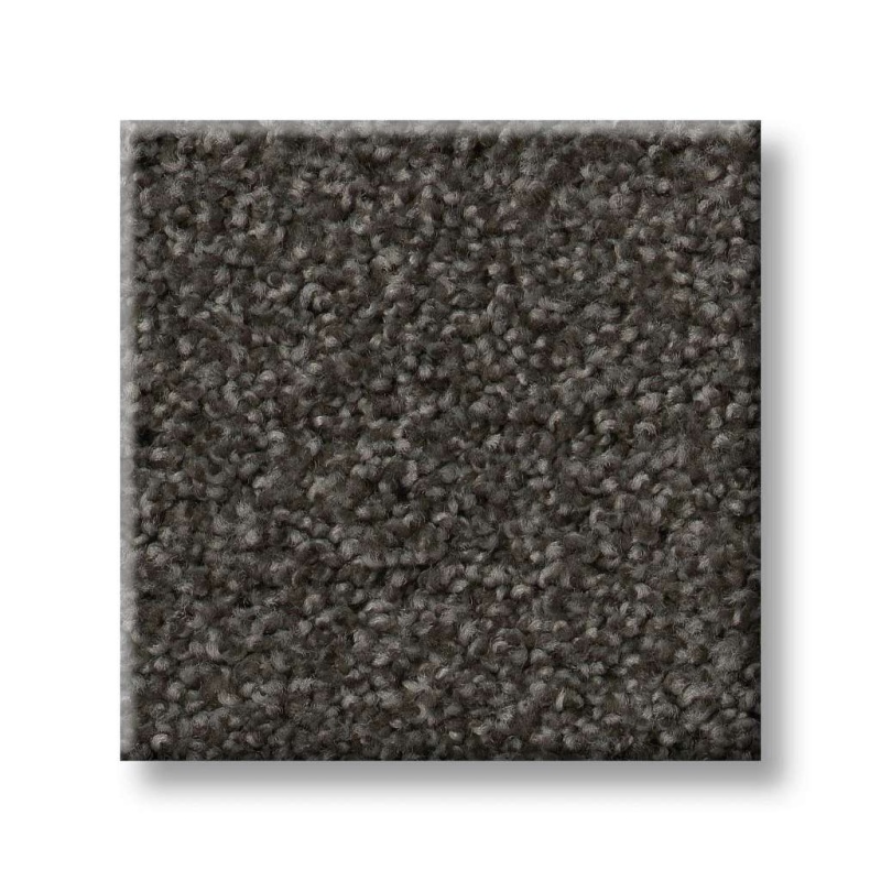 That's Right Rich Earth Nylon Carpet - Textured