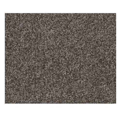Spirited Smoke Embers Polyester Carpet - Twist