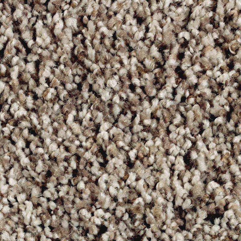 Softly Elegant Ii Dried Peat Polyester Carpet - Textured