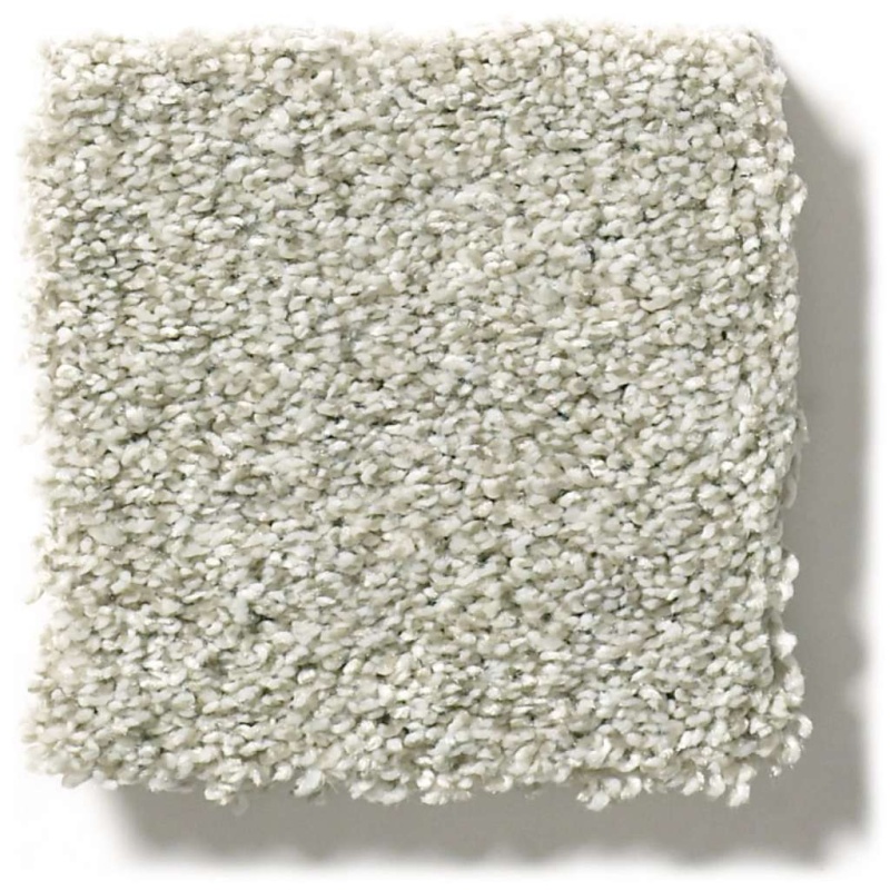 Pet Perfect Plus Just A Hint I Fog Polyester Carpet - Textured