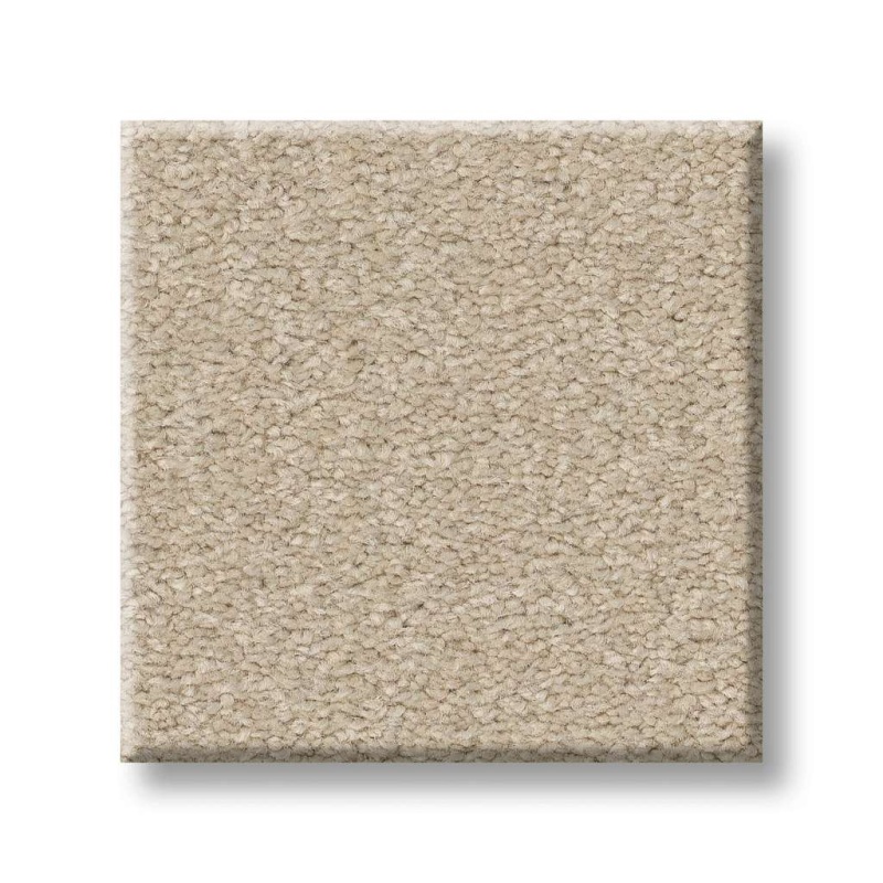 Magic At Last Iv 12 Sea Salt Nylon Carpet - Textured