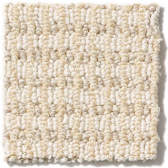 Pet Perfect Abbey's Road Aura Nylon Carpet - Pattern