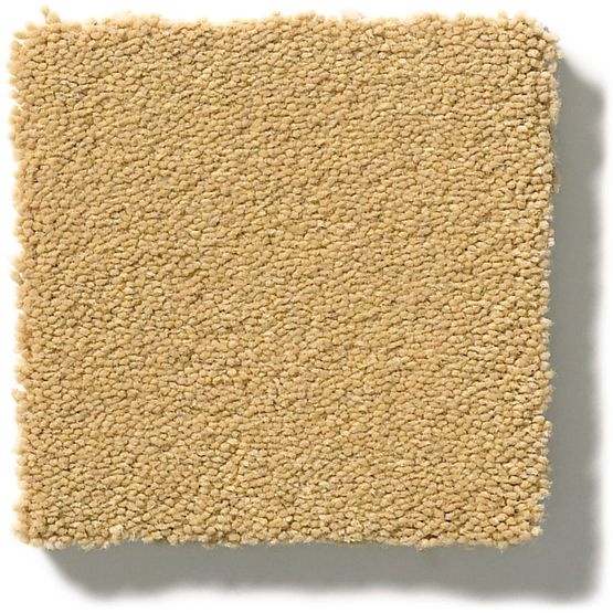 Perfect Choice Tawny Bisque Nylon Carpet - Textured