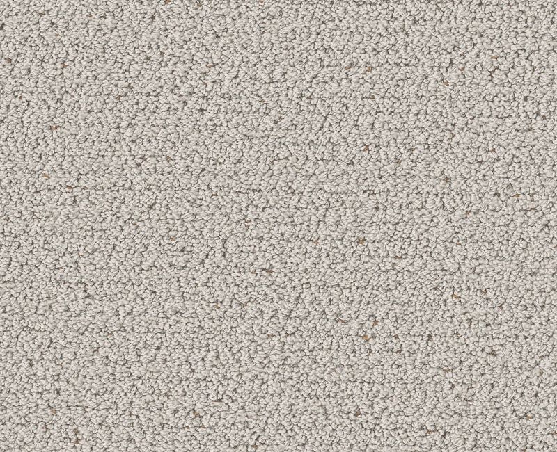 Without A Trace Cashmere Polyester Carpet - Textured