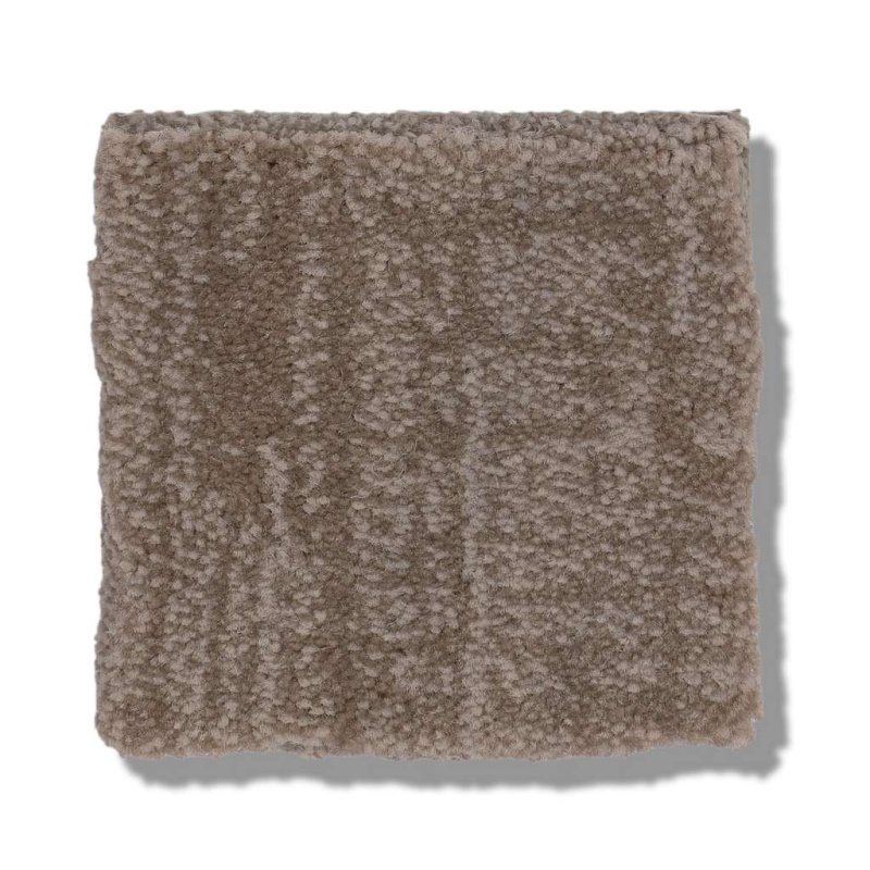 Caress By Shaw Insightful Journey Tumbleweed Nylon Carpet