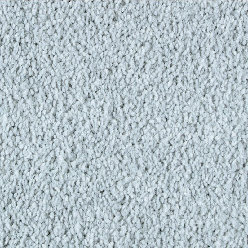 Exquisite Attraction Aurora Triexta Carpet - Textured