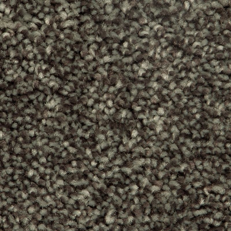 Distinct Beauty I Tradewind Polyester Carpet - Textured