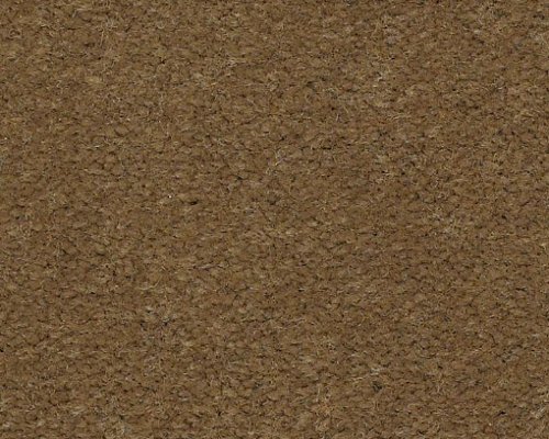 Emphatic Ii 30 Cajun Nylon Carpet - Textured