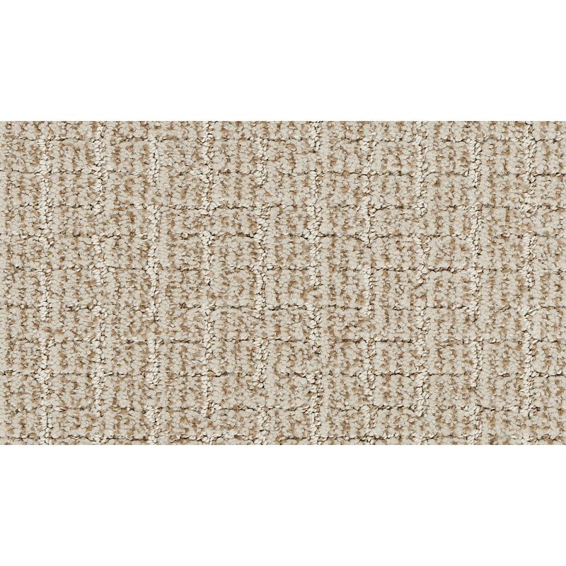 Timeless Structure Harvest Nylon Carpet