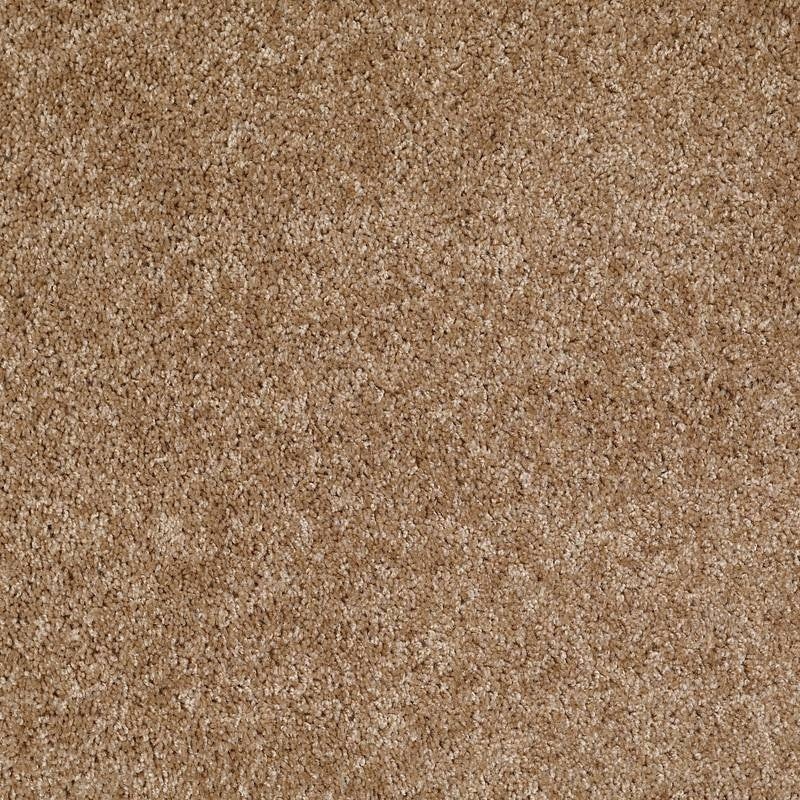 Adam's Choice (S) Fawns Leap Nylon Carpet - Textured