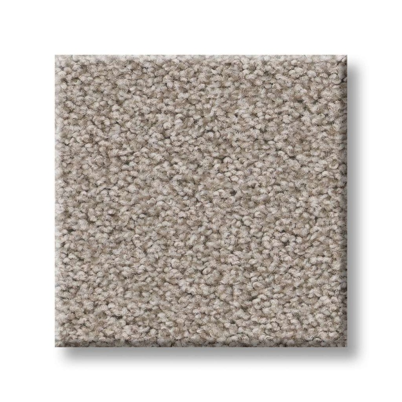 Foundations Harmonious Ii Fossil Path Nylon Carpet - Textured
