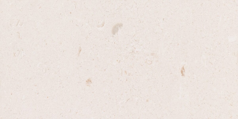 Shell Beach Limestone Bullnose Coping - Leather - 6" X 12" X 3"