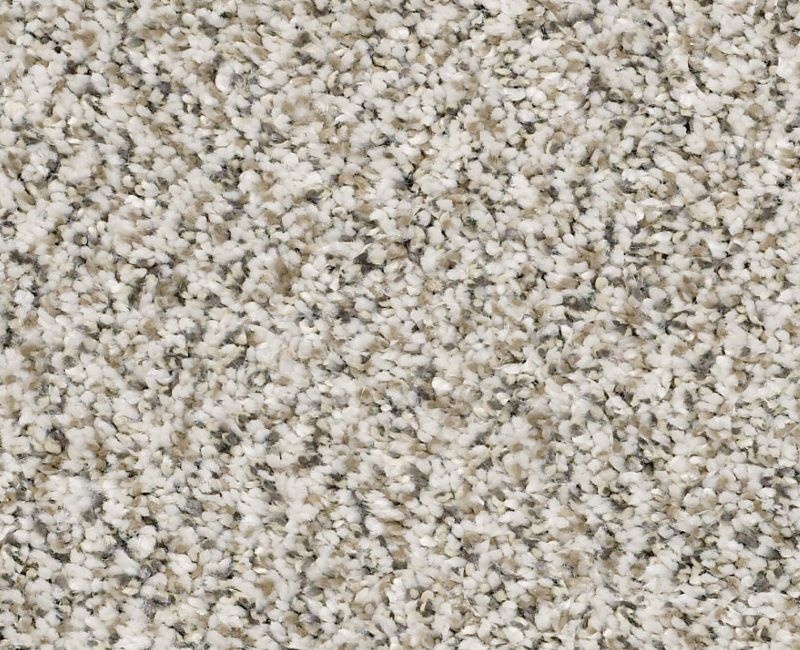 Birch Bay 2 Smoky Gray Polyester Carpet - Textured