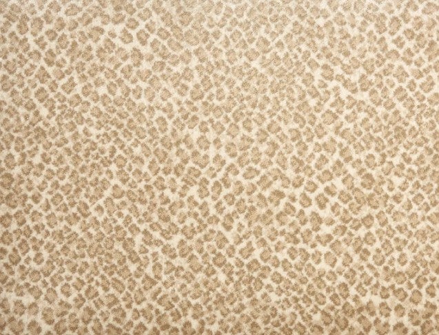 Kilimanjaro Coll Serengeti Desert Polypropylene Carpet - Textured