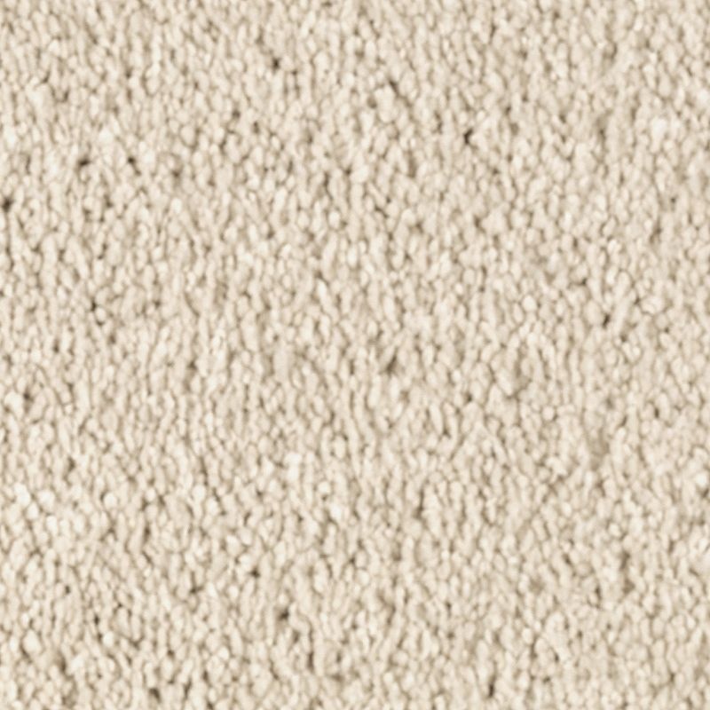 Natural Splendor Ii Soft Linen Triexta Carpet - Textured