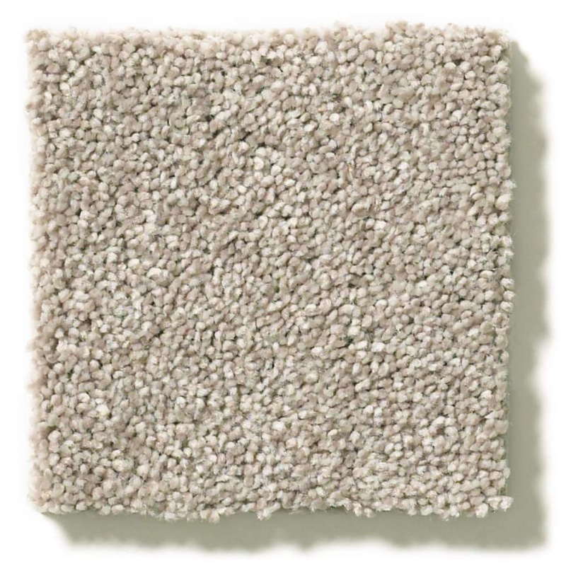 Simply The Best Momentum I Driftwood Polyester Carpet - Textured