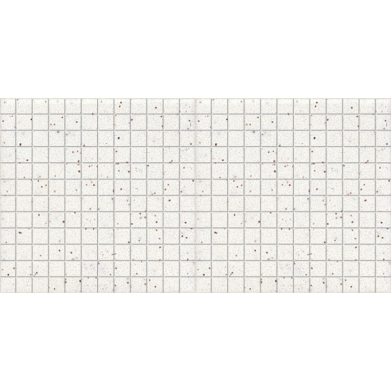 Unglazed Mosaics Salt & Pepper Porcelain Mosaic - 1" X 1"