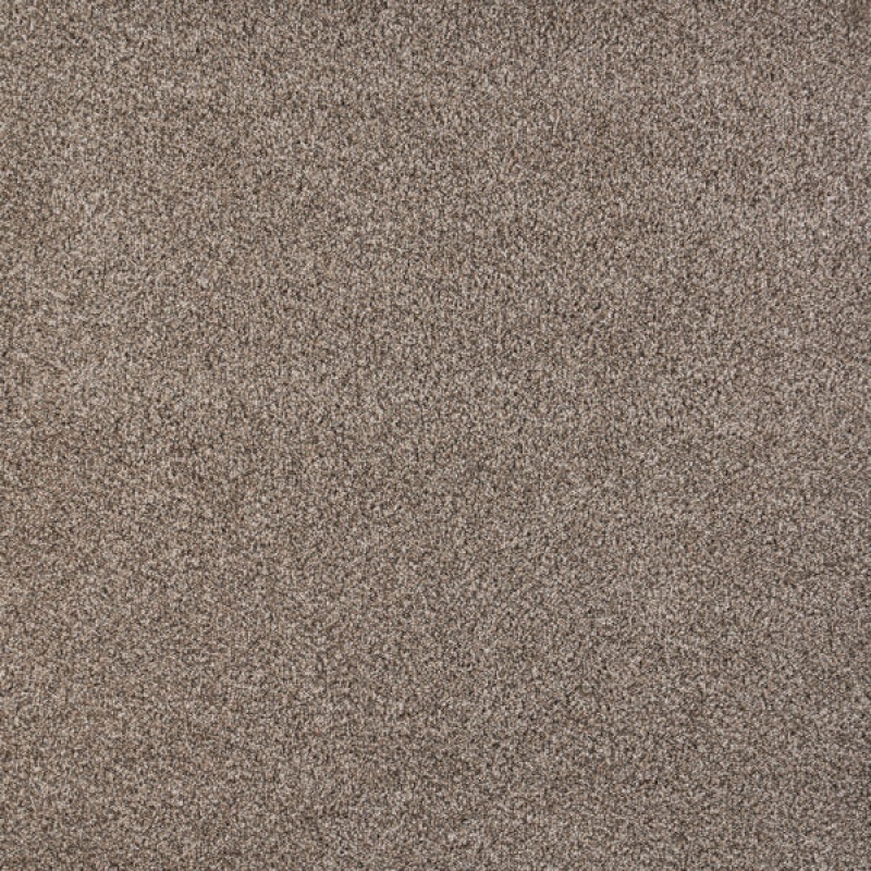 North Star Rhythm Polypropylene Carpet - Textured